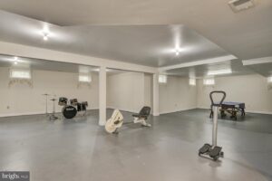 11700 Sherbrooke Woods Ln - Basement